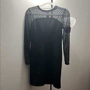 Elegant Black Mesh Long Sleeve Dress